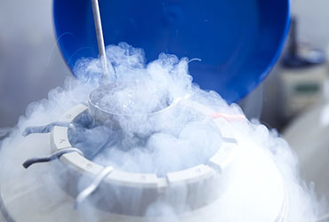 Eggs Freezing