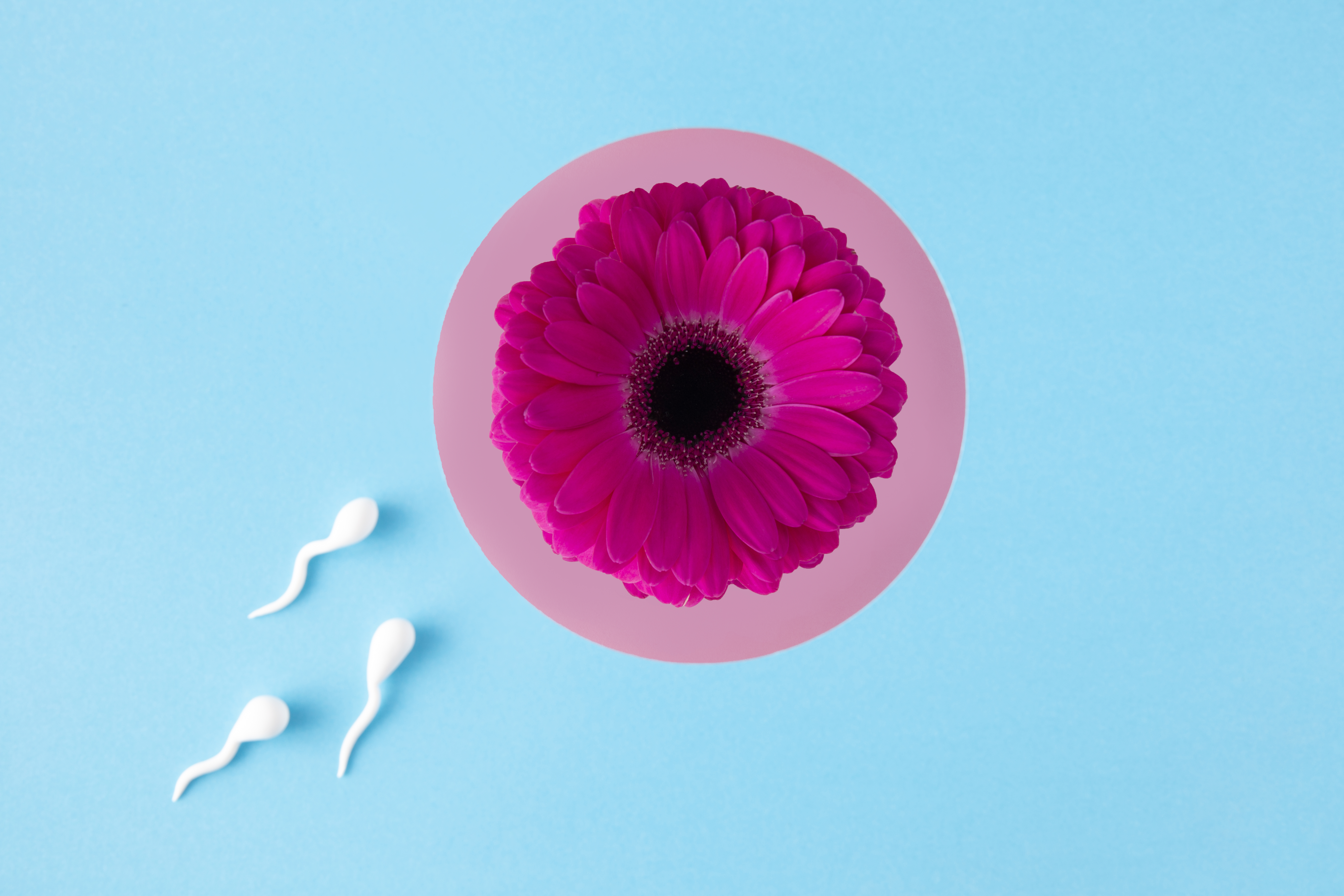 IUI Treatment